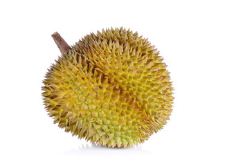 yellow durian in side Mon Thong durian fruit on white background