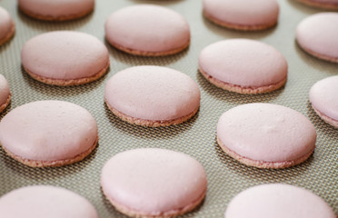 Rose Macarons Shells