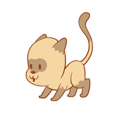 Vector cartoon image of a cute little beige-gray cat standing and looking at something on a white background. Color image with a brown tracings. Kitten. Positive character. Vector illustration.