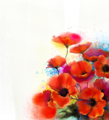Watercolor red poppy flower painting. Hand paint poppies flowers in soft color and blur style, White color background. Hand painted Spring floral seasonal nature background