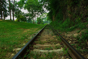 railway in forest