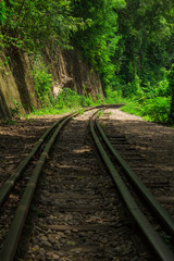 Obraz premium railway track in forest