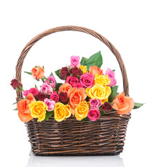 Fototapeta na wymiar Roses in the basket on white background
