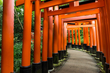 Fushimi Inari shrine in Kyoto