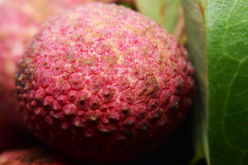 fresh Lychee on white background