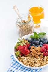 healthy nutritious breakfast with cereal and berries 