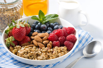 healthy nutritious breakfast with cereal and berries
