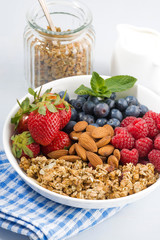 healthy nutritious breakfast with cereal and fresh berries