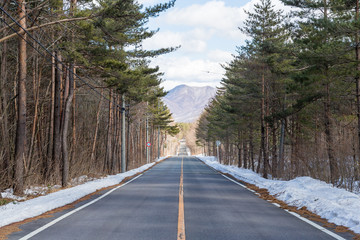 Obraz premium Winter road in snowy forest on a sunny day