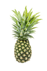 Pineapple isolate on white background