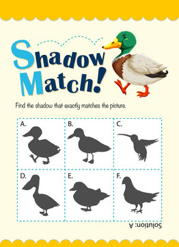 Game template for shadow matching duck