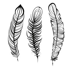 feathers bohemian style hand drawn ink illustration