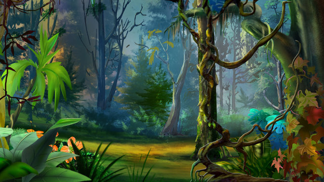 Cartoon Jungle Wallpapers  Top Free Cartoon Jungle Backgrounds   WallpaperAccess