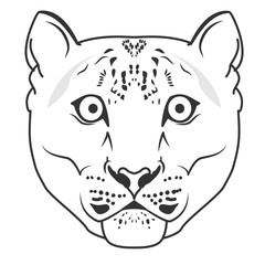 Fototapeta na wymiar Snow Leopard Logo Mascot Emblem vector. Snow leopard head.