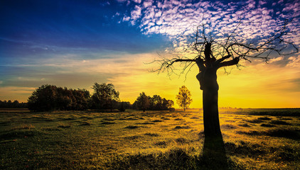 świt na Podlasiu © Janusz Lipiński