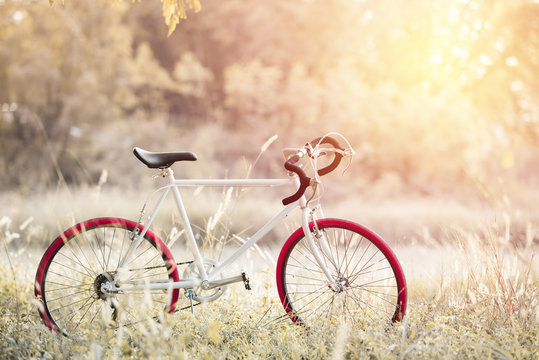 Sport Vintage Bicycle with Summer grass field ; vintage filter s