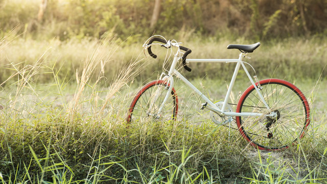 beautiful landscape image Sport Vintage Bicycle with Summer gras