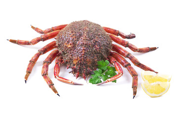 seafood, crab