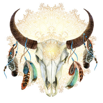 watercolor cow skull with feathers