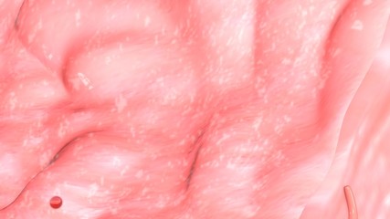 Menstruation bleeding