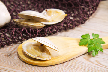 seafood, clams on fishing net