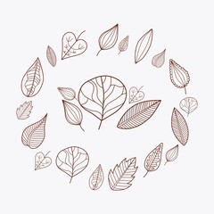 Hand-sketched floral elements #1