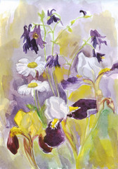Watercolor painting. Flowers, Daisy, iris, Aquilegia