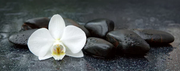 Abwaschbare Fototapete Weiße Orchidee und schwarze Steine hautnah. © Swetlana Wall