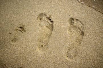 Fototapeta na wymiar Traces de pieds dans le sable