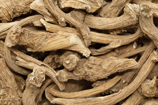 Organic dry Horseradish (Armoracia rusticana) roots. Macro close up background texture. Top view.