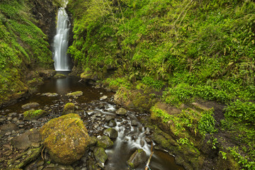 The Cranny Falls in Northern Ireland