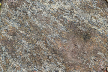 texture of a boulder with moss