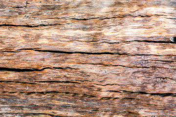 grunge wood texture for background
