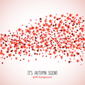 Wavy band made from red maple leaves. Fall is coming. Copy space. Background of autumn leaves. Momiji. Frame for text. Autumn concept. Vector illustration.