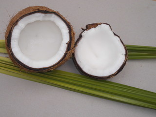 coconut leaf