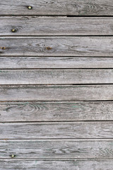 Fototapeta premium The old wood texture with natural patterns