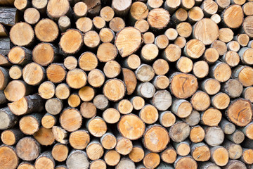 Pile of wood logs ready for winter