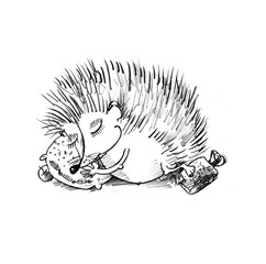 hand drawn sleeping .hedgehog.
