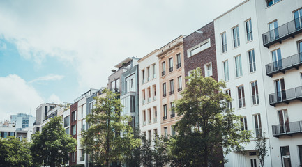 Deciduous trees in front of apartment buildings