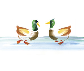water duck watercolor hand drawn illustration