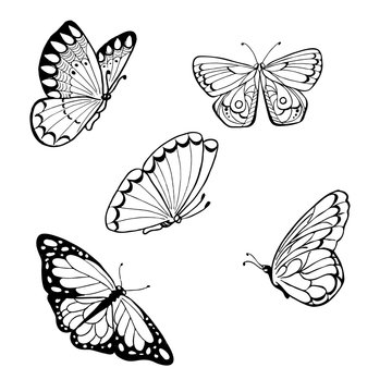 Set of black butterflies isolated on white background. Hand drawn vector illustration.