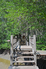 A Thai wooden bridge heading to the mangrove forest in Chanthaburi, Thailand.