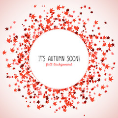 Round frame made from red maple leaves. Copy space