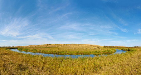 A small prairie river Big Melik. Cows graze on the banks. Sarato