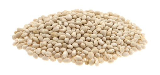 Portion of organic navy beans on a white background side view.