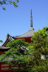 Obraz premium Kiyomizu-dera tempio, Kyoto