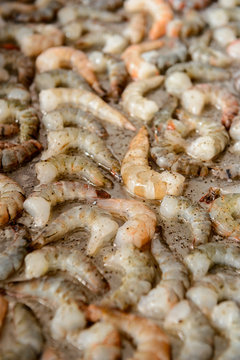 Cropped image of fresh royal shrimps