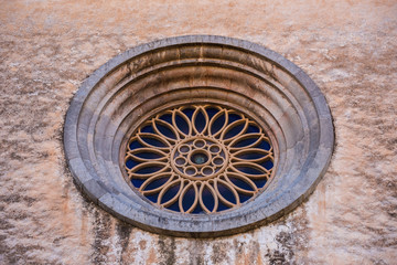 Big tree on top of the sea cliff in Mallorca
