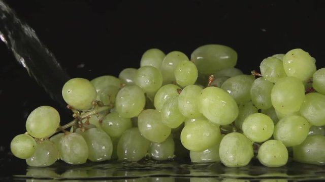 SLOW MOTION: A water flow falls on a bunch of grape on a black background (close up)