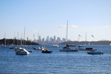 Obraz premium Segelschiffe mit Skyline von Sydney